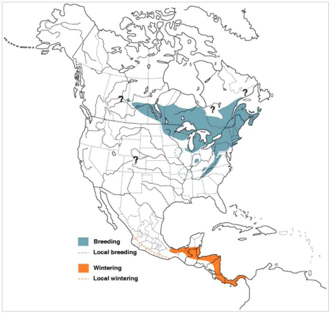 Chestnut-sided-Warbler-Map