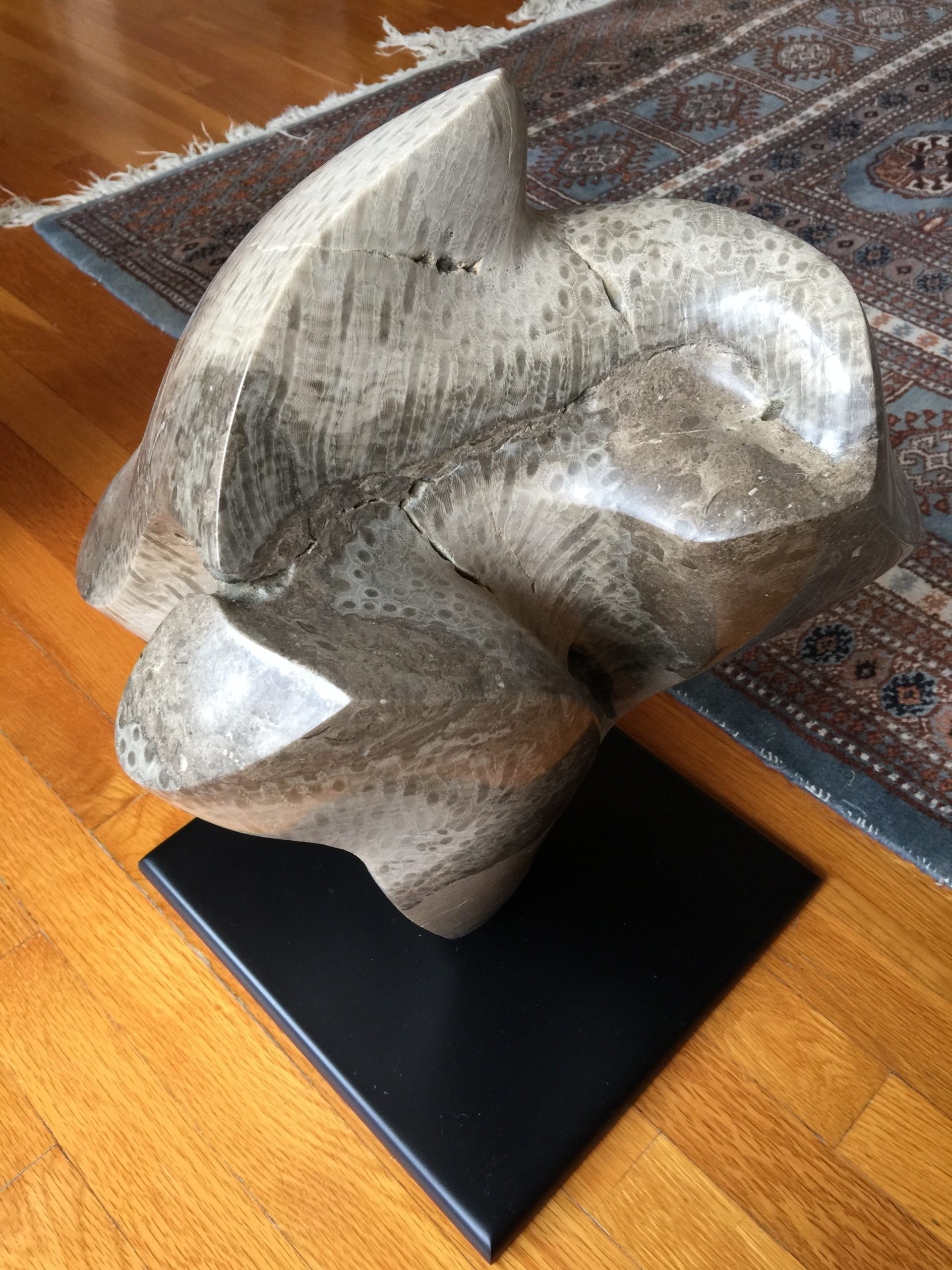 Devonian Fossil Sculpture