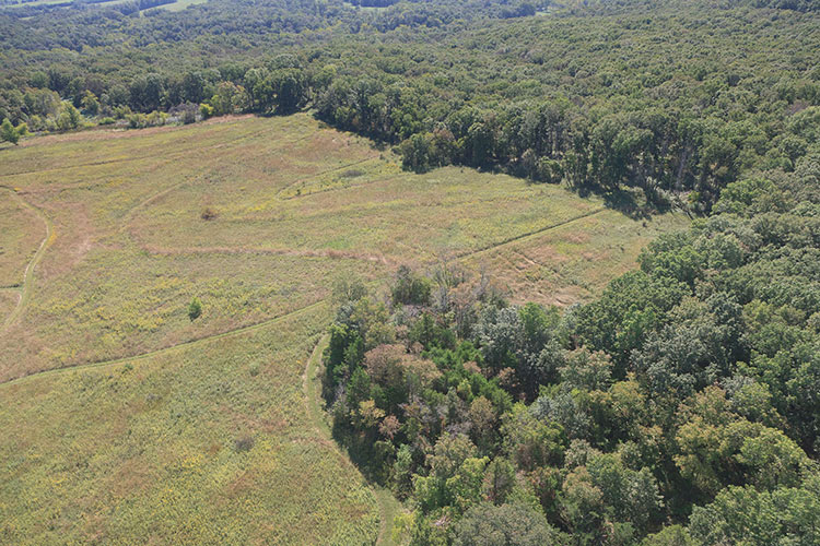 Dogleg Prairie Aerial Photograph