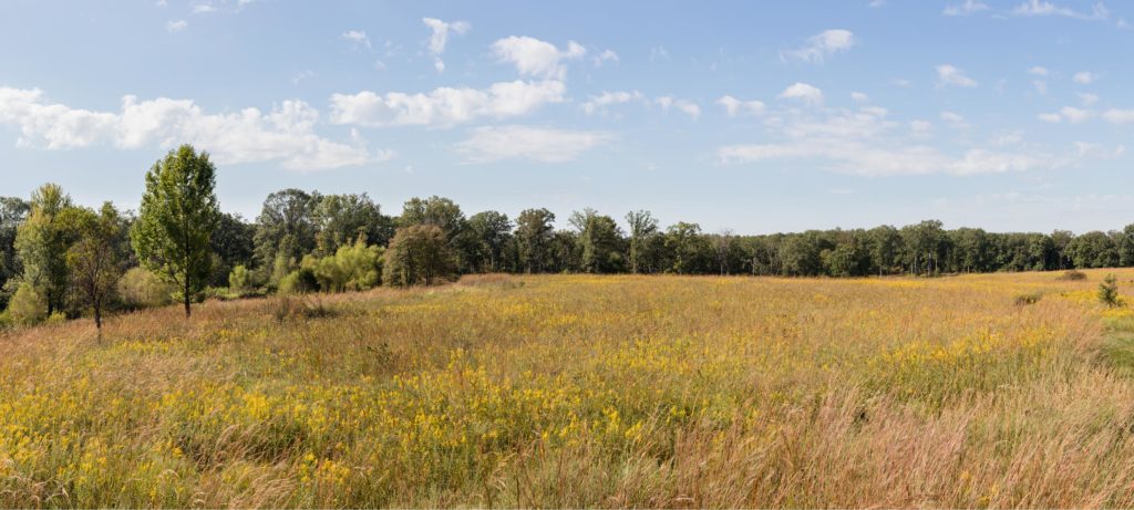 "Dogleg Prairie" South of the PGT Visitor Center