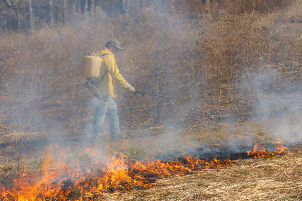 Jamie Coe managing a PGT Burn