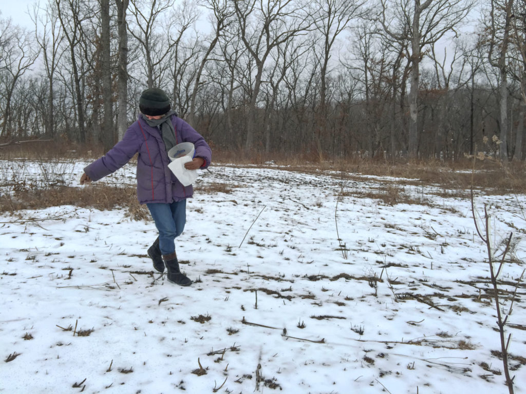 Lorna Planting Wildflower Seed_2-12