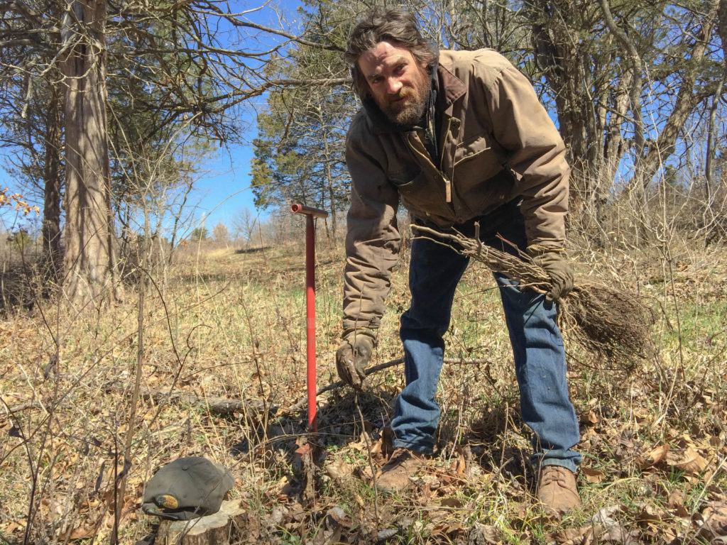 Matt Barnes Planting Redbud Seedlings