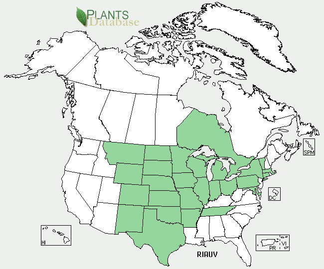 Golden Current Range Map