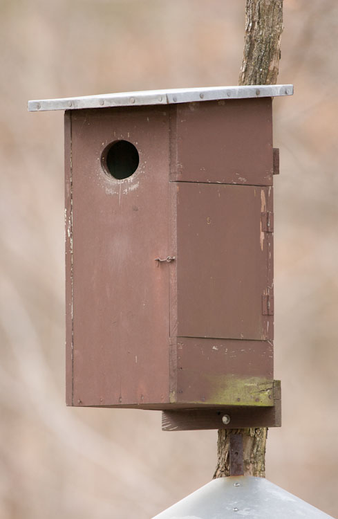 Wood Duck House