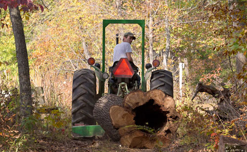 Matt hauls away old tree