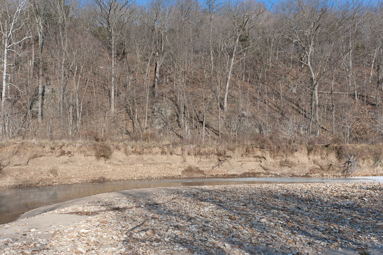 Kingfishers Nest In Mud Banks – Prairie Garden Trust