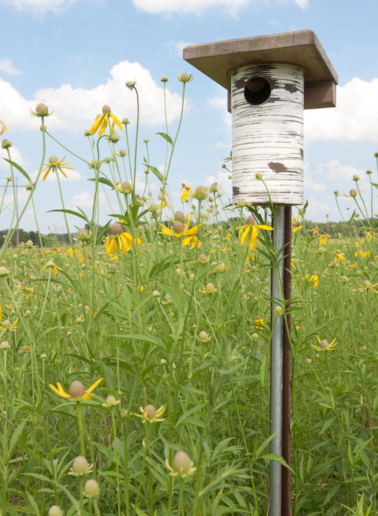 Gilbertson Bluebird House - Prairie Garden Trust