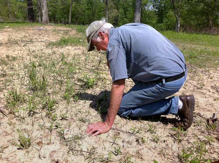 Missouri Wildflower Nursery