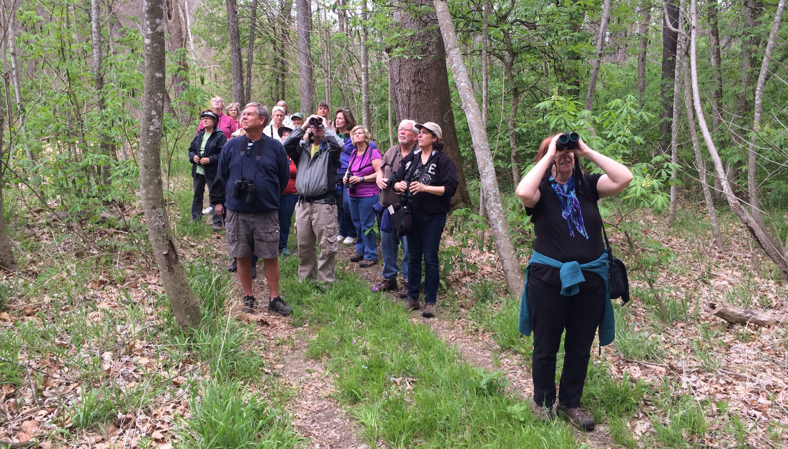 Bird Walk