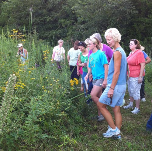 Bittersweet Garden Club Jefferson City