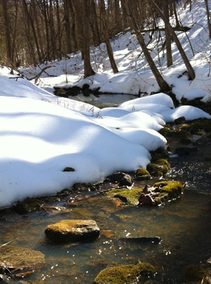 melting_snow_and_creek